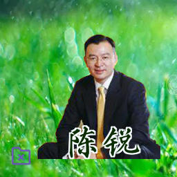 陈锐